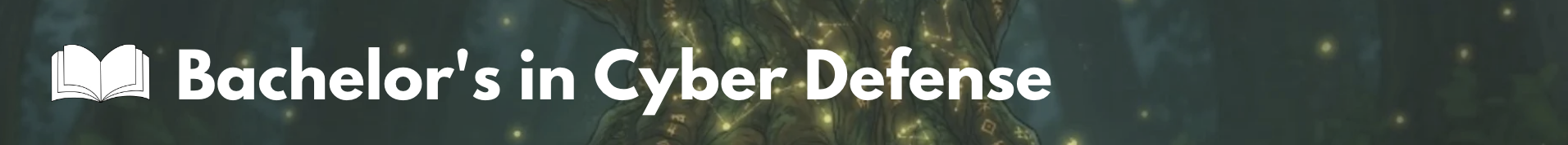 Bachelor in Cyber Defense